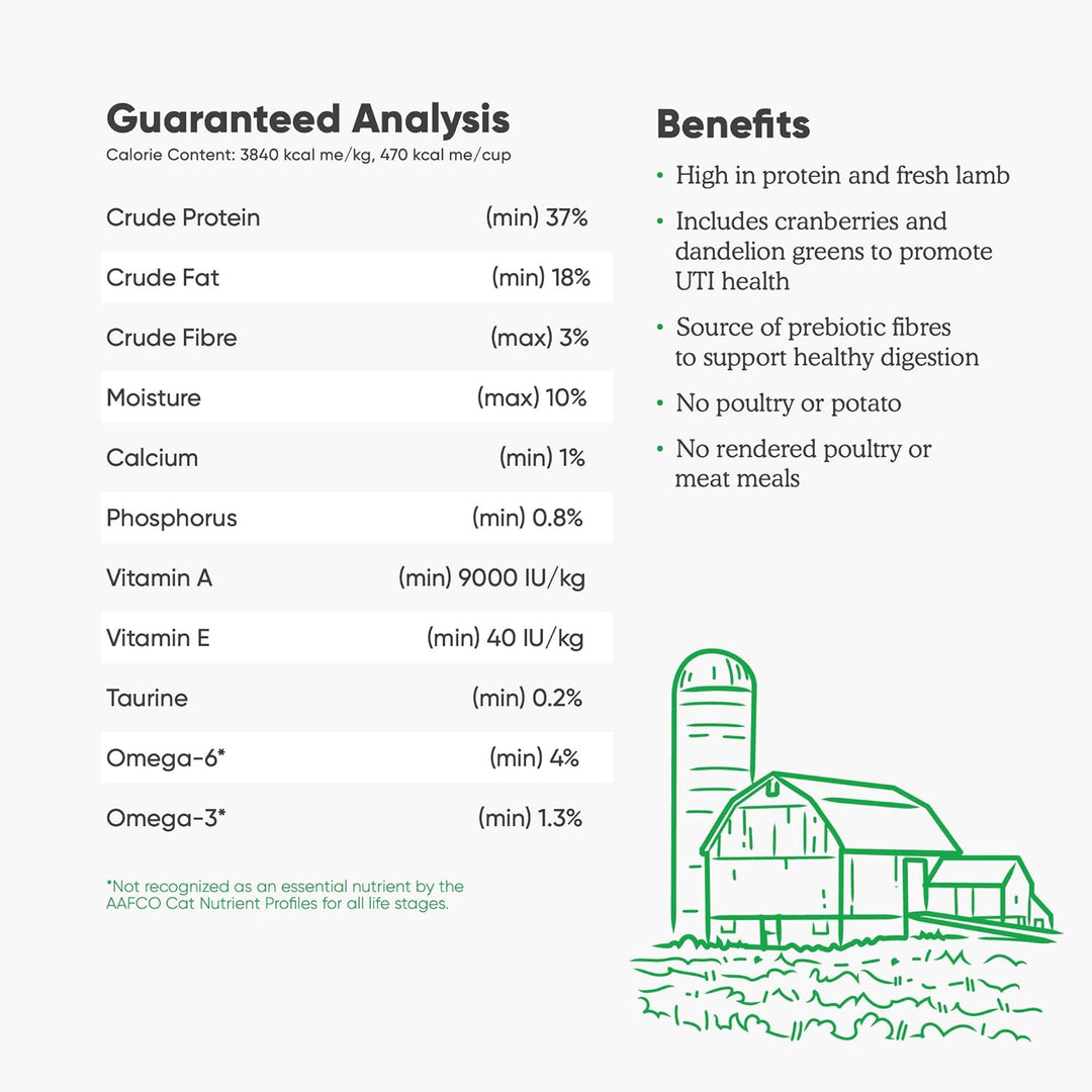 Open Farm Cat GF Lamb Recipe 4lb