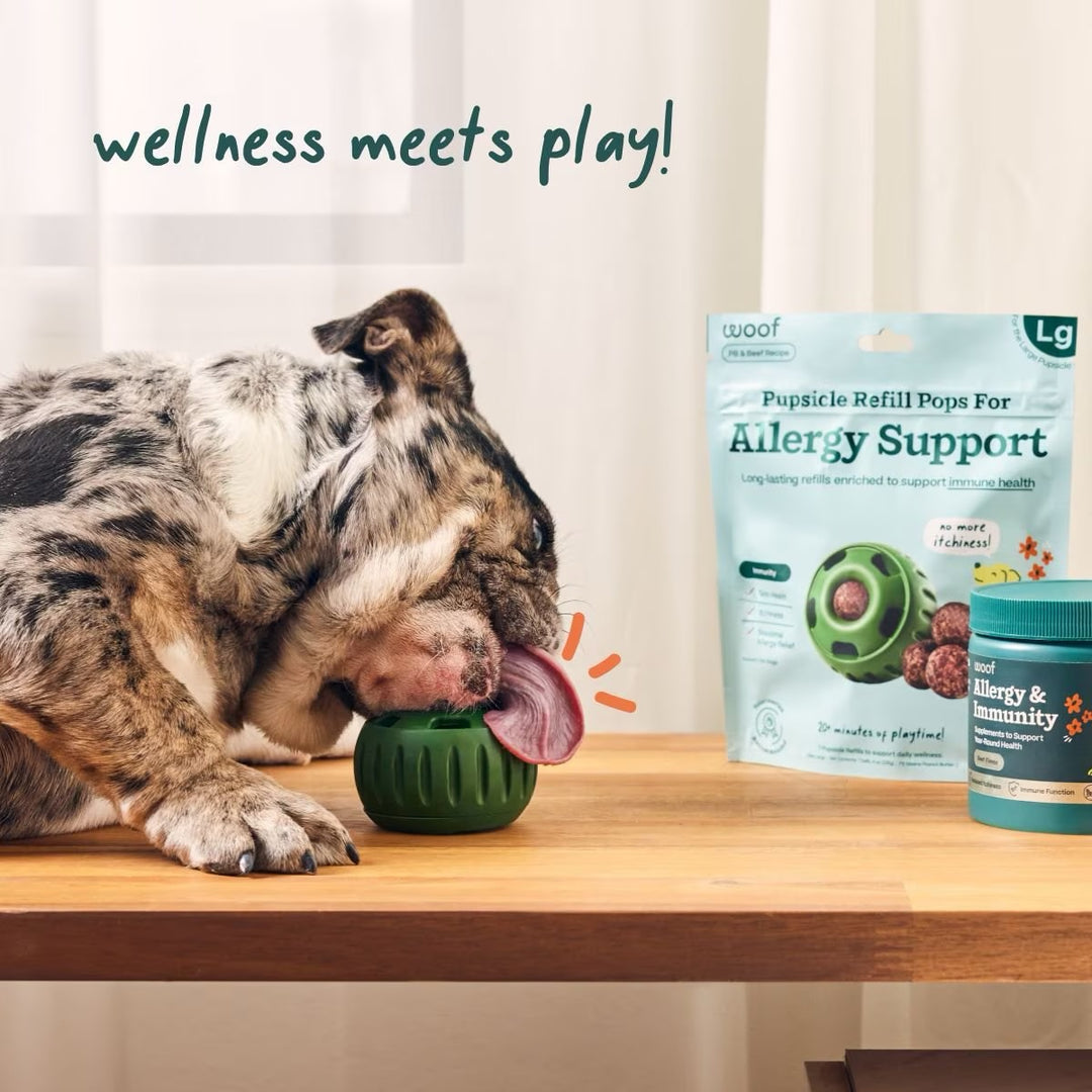 Woof Pupsicle Pops Allergy & Immunity