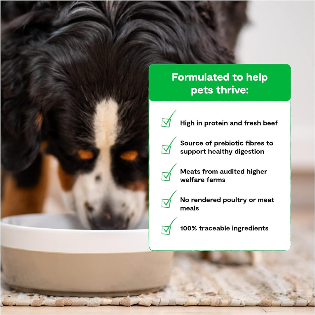 Open Farm Dog GF Beef Recipe