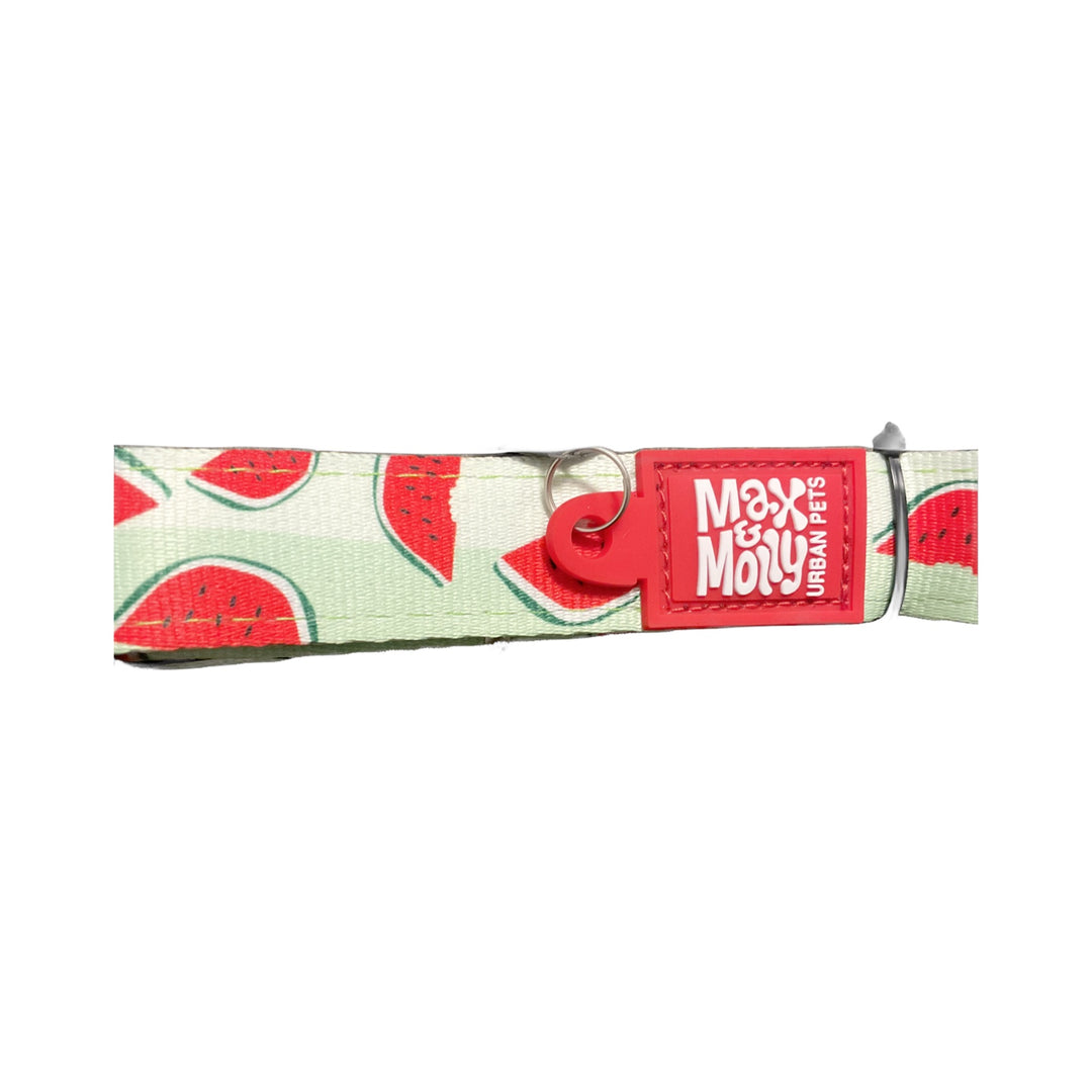 Max & Molly Urban Pets Watermelon Collar