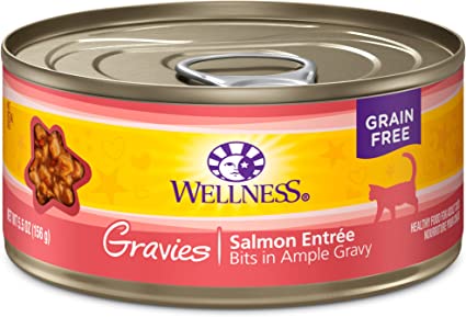Wellness Gravies Salmon 5.5oz