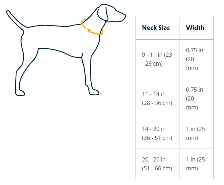 Ruffwear Hi & Light Collar Lichen Green
