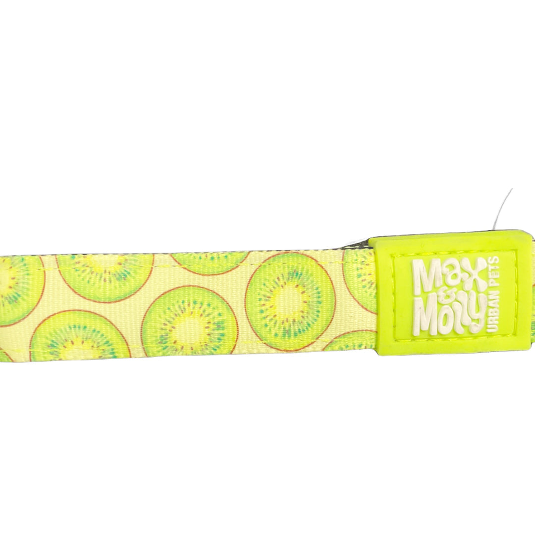 Max & Molly Urban Pets Kiwi Collar