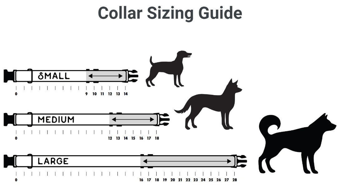 MTN Straps Collar Autumn