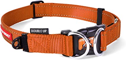 EZYDOG Double Up Collar Orange