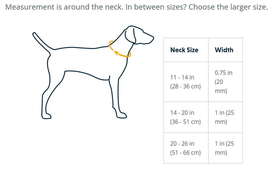 Ruffwear Crag Collar Gray