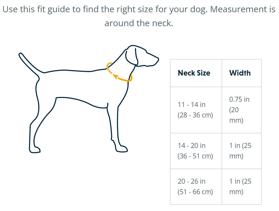 Ruffwear Chain Reaction Collar Gray