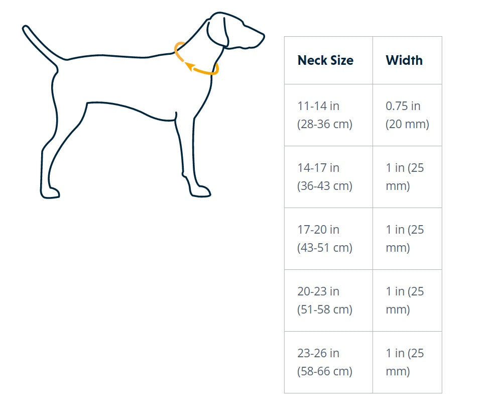 Ruffwear Web Reaction Collar Gray