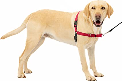 PetSafe Easy Walk Harness Red - BlackPaw - For Every Adventure