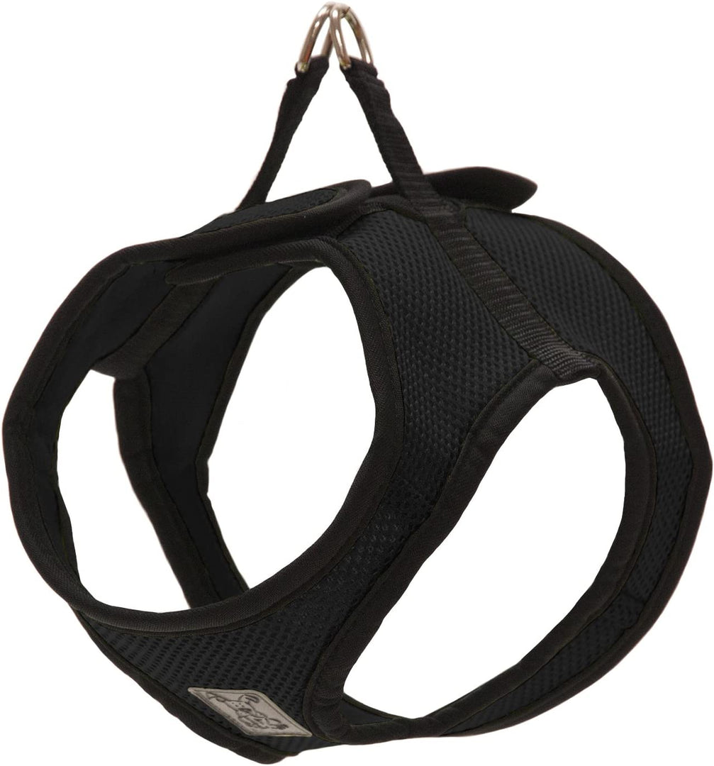 RC Pets Cirque Harness Black - BlackPaw