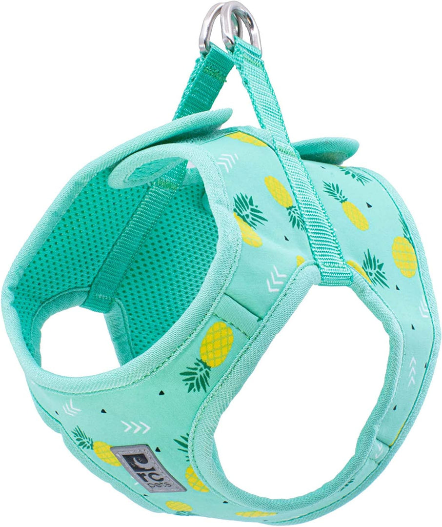 RC Pets Cirque Harness Pineapple - BlackPaw - For Every Adventure