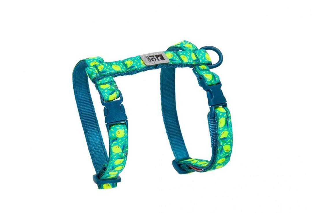RC Pets Kitty Harness Lemonade Medium - BlackPaw - For Every Adventure