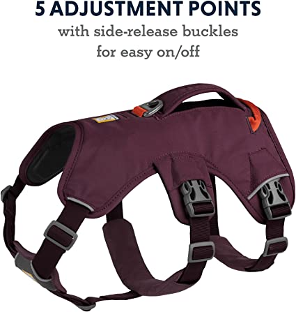 Ruffwear Web Master Harness Purple Rain - BlackPaw - For Every Adventure