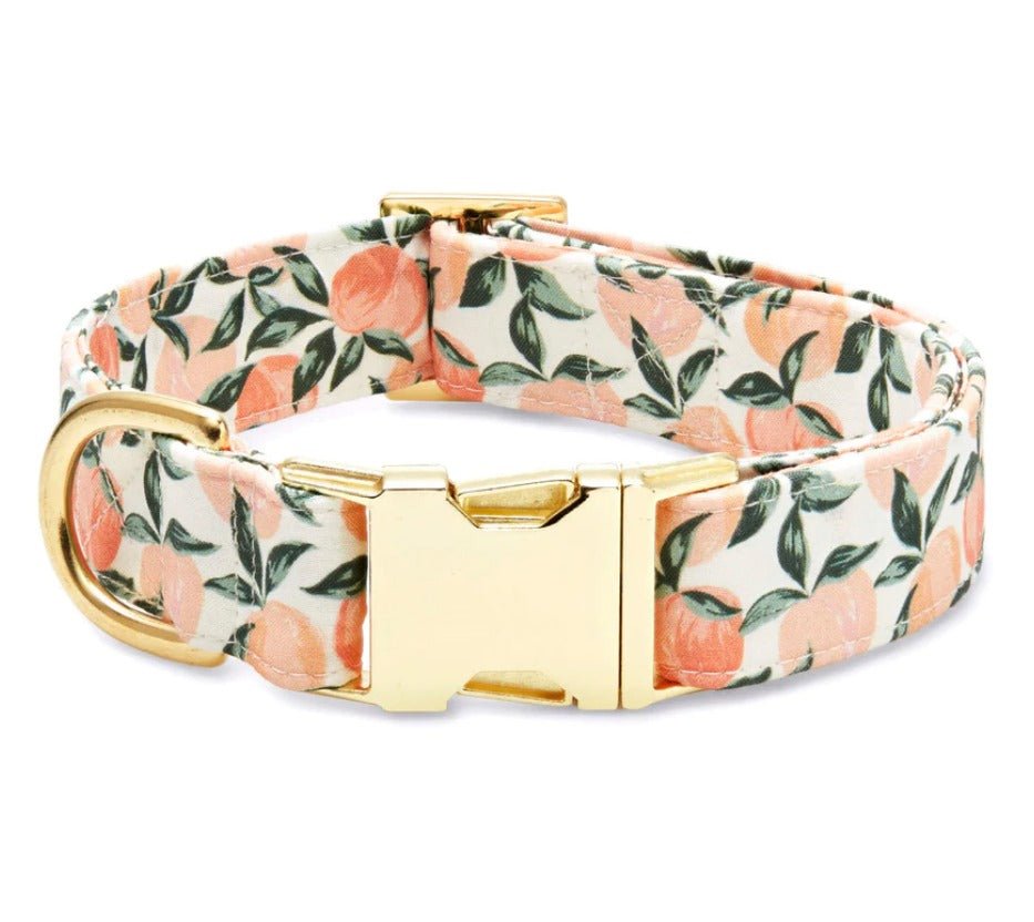 The Foggy Dog Collar Peaches - BlackPaw - For Every Adventure