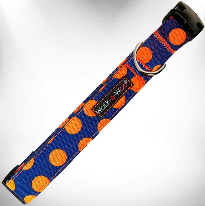 Walk-e-Woo Collar Dot Blue/Orange - BlackPaw - For Every Adventure