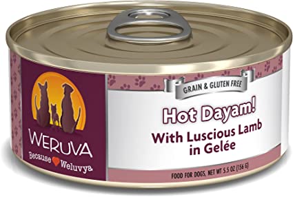 Weruva Hot Dayum! 5.5oz - BlackPaw - For Every Adventure