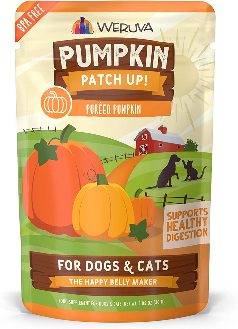 Weruva Pumpkin Pouch 1.05oz - BlackPaw - For Every Adventure