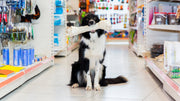 pet store savings