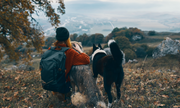 dog friendly fall hikes 