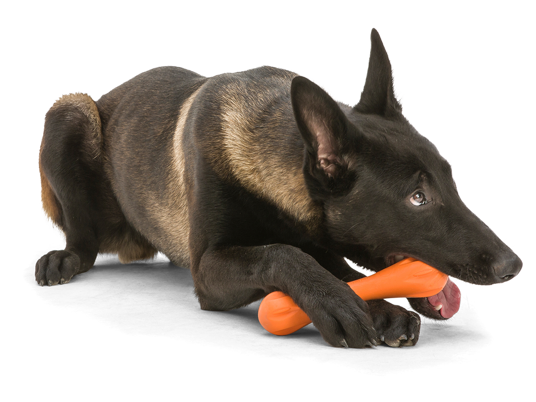 Hurley® Dog Toy for Chew, and Fetch