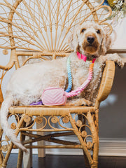 Nola Rope Dog Leash | Dog Leash | Rainbow Leash