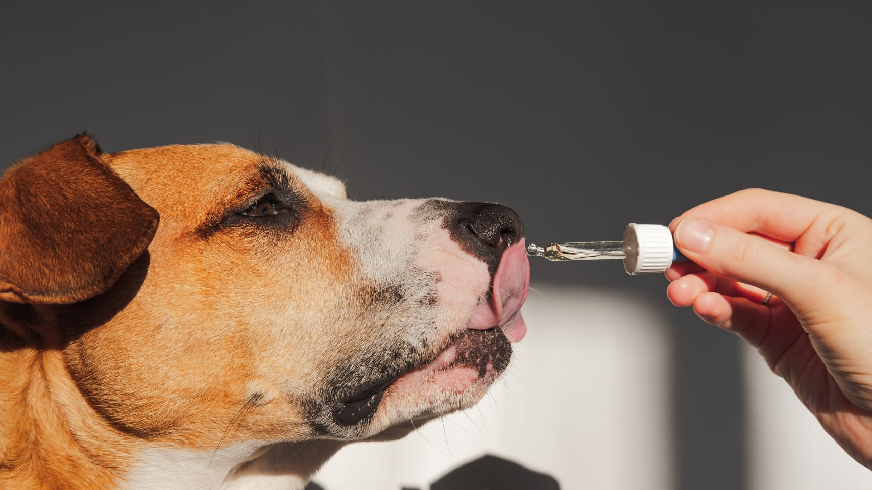 do cbd supplements