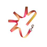 Katelin All Weather Leash