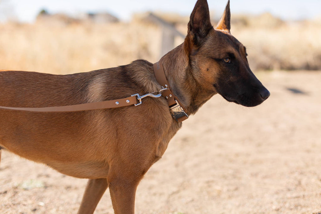 Modern Style Soft Leather Euro Dog Leash