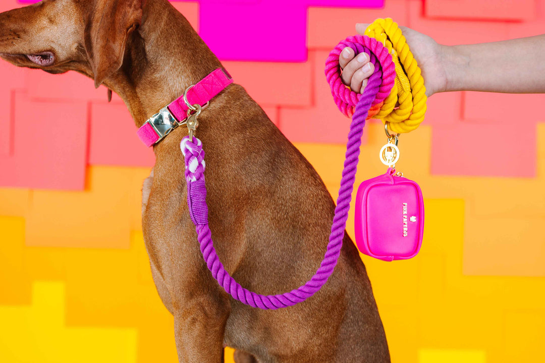 Roxy Rope Dog Leash | Dog Leash | Ombre Leash