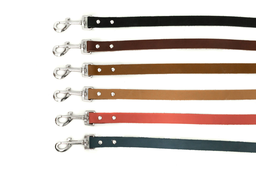 Modern Style Soft Leather Euro Dog Leash