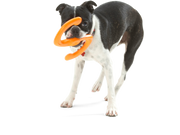 Bumi® Dog Toy for Chew, Tug, and Fetch