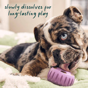 Woof Pupsicle Calming Wellness Pops