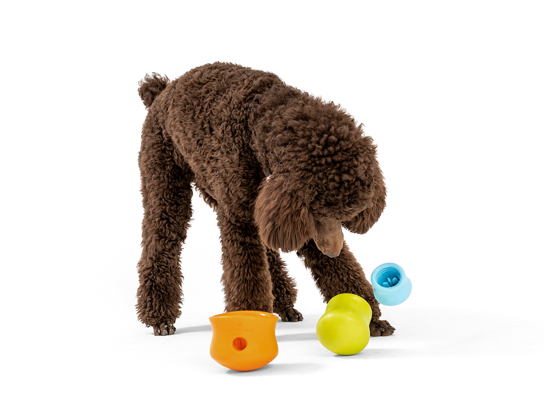 Toppl® Puzzle Treat-Dispensing Slow Feeder Dog Toy