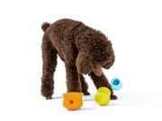 WestPaw Toppl Puzzle Treat-Dispensing Slow Feeder Dog Toy