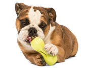 Qwizl® Dog Puzzle Treat-Dispensing Enrichment Toy