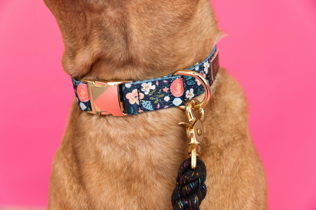 Riley Dog Collar | Floral Dog Collar | Dog Collar