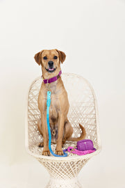 Pink Papyrus | Premium, Durable, & Stylish Dog Products - Pixie Rope Dog Leash | Dog Leash | Ombre Leash