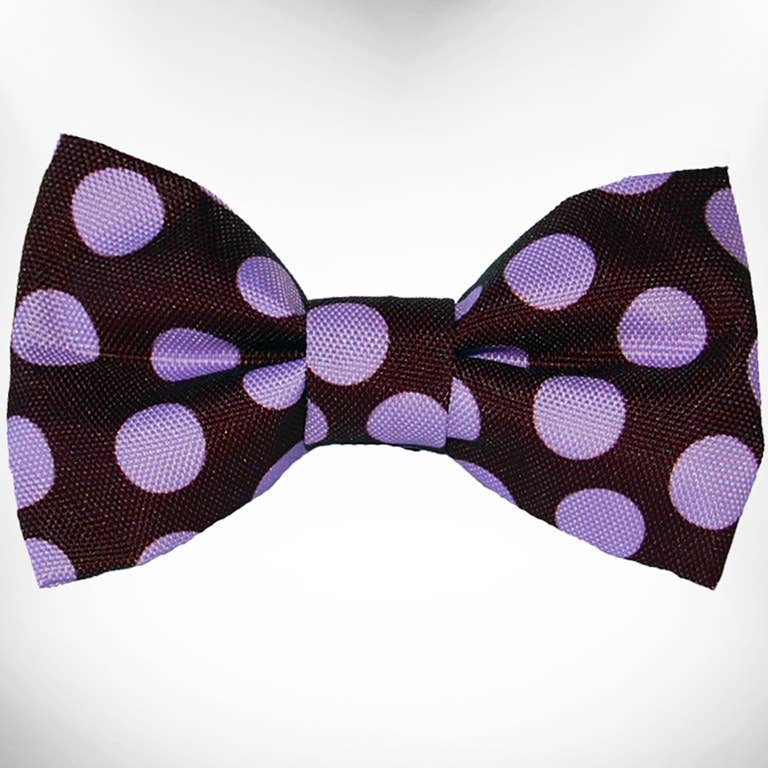 Purple Dot on Brown (collar & accessories)