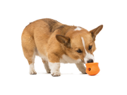 WestPaw Toppl Puzzle Treat-Dispensing Slow Feeder Dog Toy