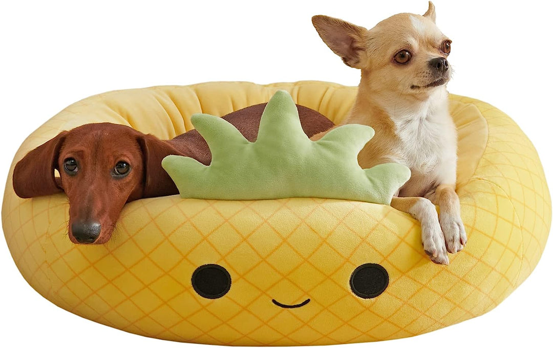 Squishmallows Maui The Pineapple Cat & Dog Bed, Yellow