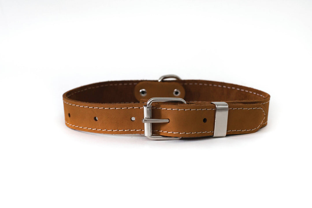 Traditional Style Soft Leather Euro Dog Collar