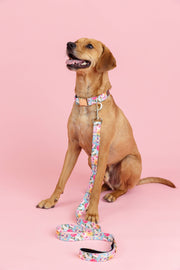 Pink Papyrus | Premium, Durable, & Stylish Dog Products - Emery Dog Leash | Floral Dog Leash | Dog Lead