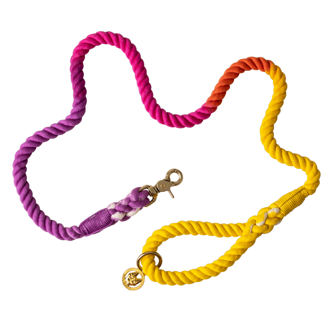 Roxy Rope Dog Leash | Dog Leash | Ombre Leash