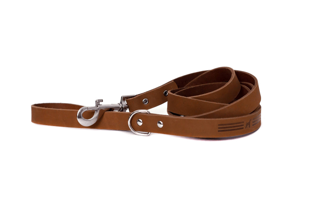 Modern Style Soft Leather Euro Dog Leash