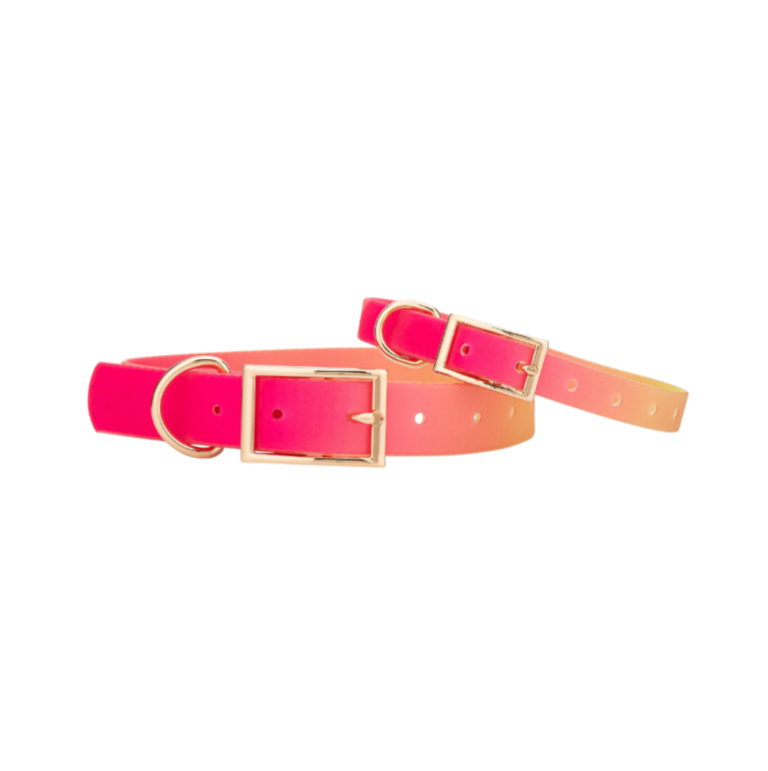 Waterproof Dog Collar - Katelin