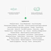 Open Farm Cat GF Salmon Recipe 4lb