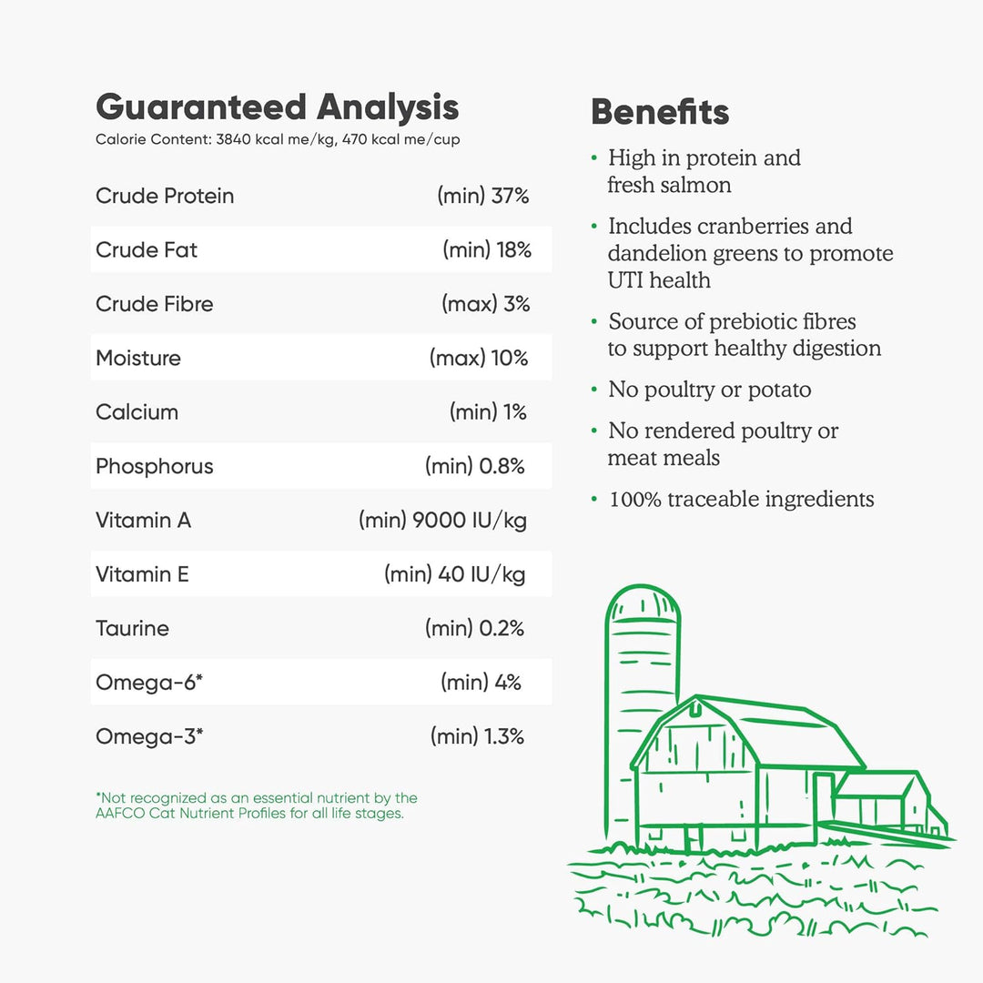 Open Farm Cat GF Salmon Recipe 4lb