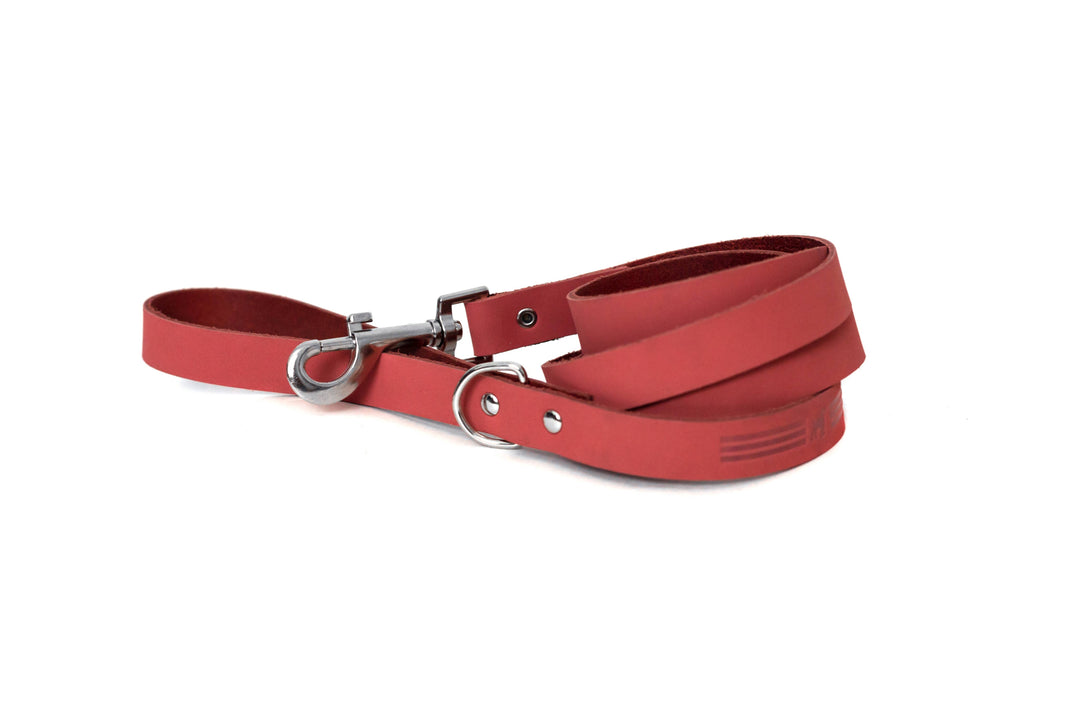 Modern Style Soft Leather Euro Dog Leash