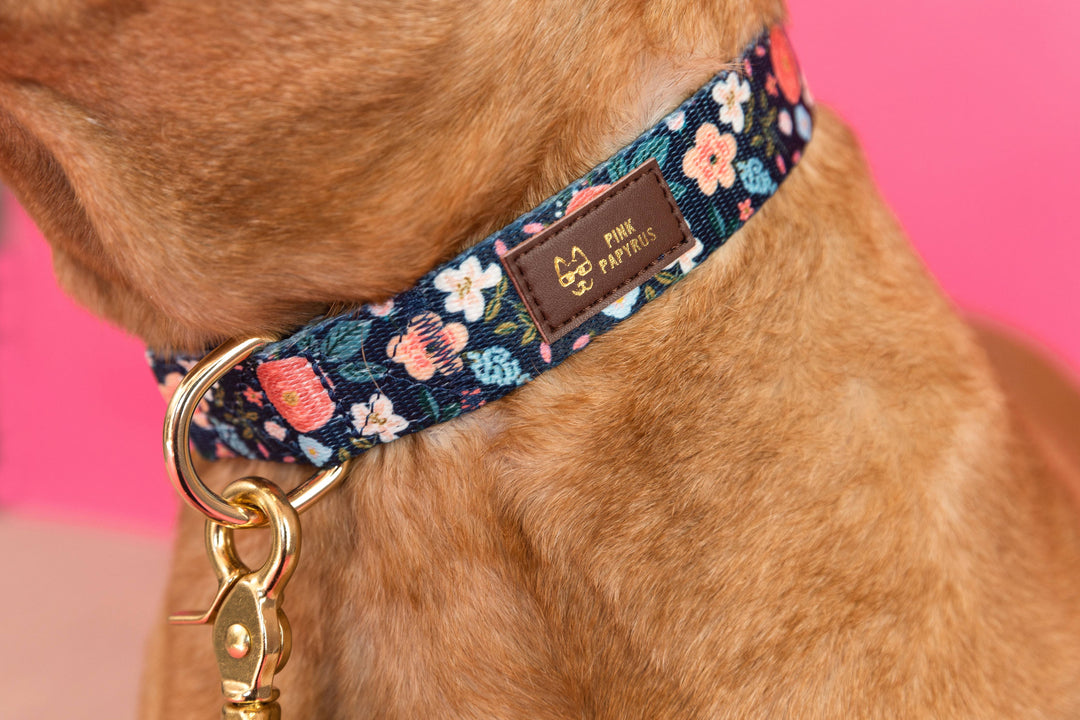 Riley Dog Collar | Floral Dog Collar | Dog Collar