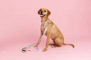 Pink Papyrus | Premium, Durable, & Stylish Dog Products - Emery Dog Leash | Floral Dog Leash | Dog Lead